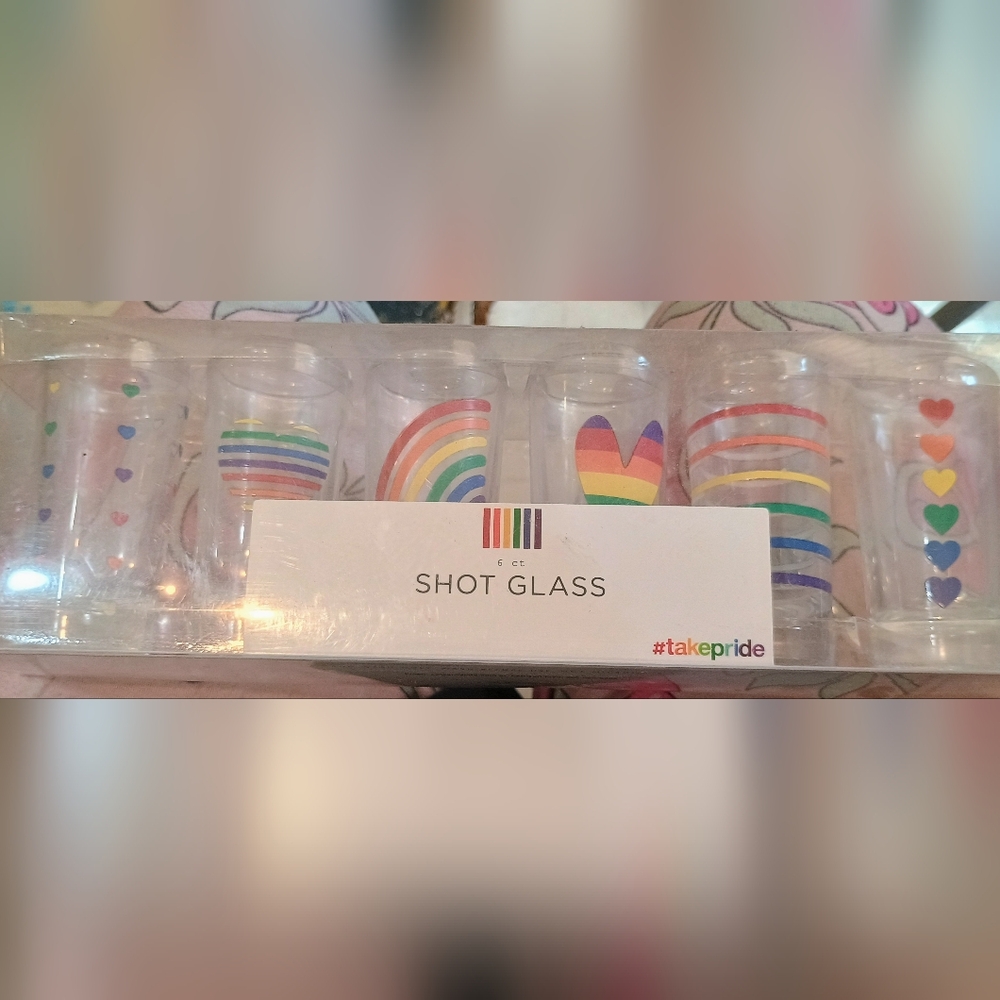 Rainbow Shot Glass Set - 6 ct